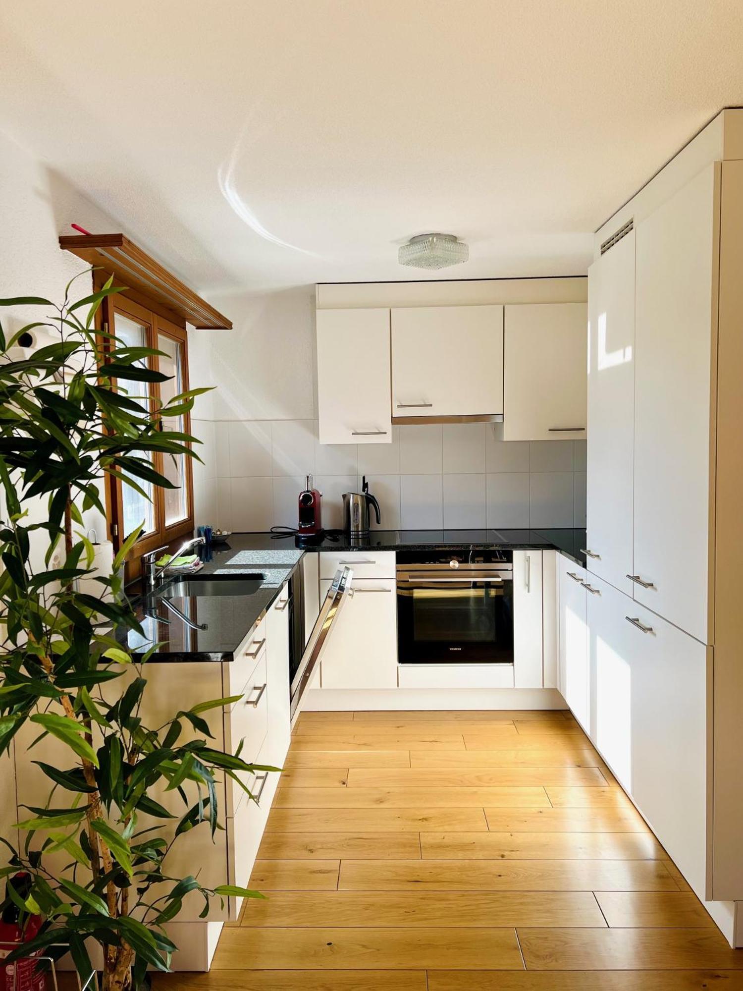 Maisonette 4.5 Zimmer, Naehe Ballenberg Hofstetten bei Brienz 외부 사진